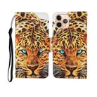 For iPhone 11 Pro Painted Pattern Horizontal Flip Leathe Case(Leopard) - 1