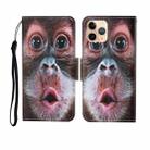 For iPhone 11 Pro Max Painted Pattern Horizontal Flip Leathe Case(Orangutan) - 1