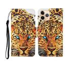 For iPhone 11 Pro Max Painted Pattern Horizontal Flip Leathe Case(Leopard) - 1