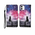 For iPhone 12 mini Painted Pattern Horizontal Flip Leathe Case(Starry Cat) - 1
