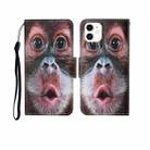 For iPhone 12 mini Painted Pattern Horizontal Flip Leathe Case(Orangutan) - 1