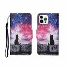 For iPhone 12 Pro Max Painted Pattern Horizontal Flip Leathe Case(Starry Cat) - 1