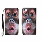 For iPhone SE (2020)/ 7 /8 Painted Pattern Horizontal Flip Leathe Case(Orangutan) - 1