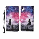 For iPhone XR Painted Pattern Horizontal Flip Leathe Case(Starry Cat) - 1