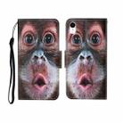 For iPhone XR Painted Pattern Horizontal Flip Leathe Case(Orangutan) - 1