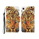 For iPhone XR Painted Pattern Horizontal Flip Leathe Case(Leopard) - 1