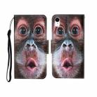 For iPhone XS Max Painted Pattern Horizontal Flip Leathe Case(Orangutan) - 1