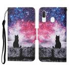 For Samsung Galaxy A20 / A30 Colored Drawing Pattern Horizontal Flip Leather Case with Holder & Card Slots & Wallet & Lanyard(Starry Cat) - 1