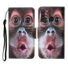 For Samsung Galaxy A21 Colored Drawing Pattern Horizontal Flip Leather Case with Holder & Card Slots & Wallet & Lanyard(Orangutan) - 1
