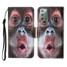 For Samsung Galaxy Note20 Colored Drawing Pattern Horizontal Flip Leather Case with Holder & Card Slots & Wallet & Lanyard(Orangutan) - 1