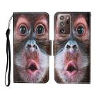 For Samsung Galaxy Note20 Ultra Colored Drawing Pattern Horizontal Flip Leather Case with Holder & Card Slots & Wallet & Lanyard(Orangutan) - 1