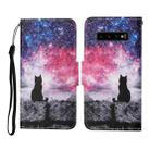 For Samsung Galaxy S10 Colored Drawing Pattern Horizontal Flip Leather Case with Holder & Card Slots & Wallet & Lanyard(Starry Cat) - 1