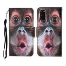 For Samsung Galaxy S20 Colored Drawing Pattern Horizontal Flip Leather Case with Holder & Card Slots & Wallet & Lanyard(Orangutan) - 1