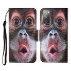 For Samsung Galaxy S20 FE Colored Drawing Pattern Horizontal Flip Leather Case with Holder & Card Slots & Wallet & Lanyard(Orangutan) - 1