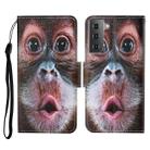 For Samsung Galaxy S21 5G Colored Drawing Pattern Horizontal Flip Leather Case with Holder & Card Slots & Wallet & Lanyard(Orangutan) - 1