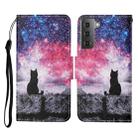 For Samsung Galaxy S21+ 5G Colored Drawing Pattern Horizontal Flip Leather Case with Holder & Card Slots & Wallet & Lanyard(Starry Cat) - 1