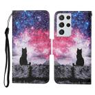 For Samsung Galaxy S21 Ultra 5G Colored Drawing Pattern Horizontal Flip Leather Case with Holder & Card Slots & Wallet & Lanyard(Starry Cat) - 1