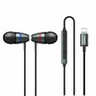 Remax RM-660i 8 Pin Interface Wire-controlled Wired Earphone, Support Call / Singing, Cable Length: 1.2m(Tarnish) - 1