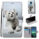 For Nokia 1.4 Coloured Drawing Cross Texture Horizontal Flip PU Leather Case with Holder & Card Slots & Wallet & Lanyard(Small Gray Cat) - 1