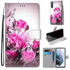 For Samsung Galaxy S21 FE Coloured Drawing Cross Texture Horizontal Flip PU Leather Case with Holder & Card Slots & Wallet & Lanyard(Wild Rose) - 1