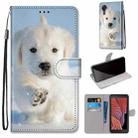 For Samsung Galaxy Xcover 5 Coloured Drawing Cross Texture Horizontal Flip PU Leather Case with Holder & Card Slots & Wallet & Lanyard(Snow Puppy) - 1