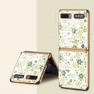 For Samsung Galaxy Z Flip 5G GKK Floral Pattern Electroplating Painted Glass Case(Floral 01) - 1
