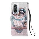 For Xiaomi Mi 11i / Poco F3 / Redmi K40 / K40 Pro 3D Painting Horizontal Flip Leather Case with Holder & Card Slot & Wallet & Lanyard(Owl) - 3