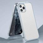 For iPhone 11 Pro Max SULADA Luxury 3D Carbon Fiber Textured Shockproof Metal + TPU Frame Case (Silver) - 1