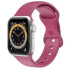 Double Wear TPU Silica Gel Watch Band For Apple Watch Ultra 49mm / Series 8&7 45mm / SE 2&6&SE&5&4 44mm / 3&2&1 42mm(Red Wine) - 1