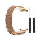 For Amazfit T-Rex Pro / Amazfit T-Rex Milanese Magnetic Metal Watch Band(Rose Gold) - 1