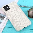 For iPhone 11 Snakeskin Texture Paste Skin PC Protective Case(White) - 1