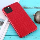 For iPhone 11 Pro Shockproof Crocodile Texture Protective Case(Red) - 1