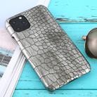For iPhone 11 Pro Shockproof Crocodile Texture Protective Case(Silver) - 1