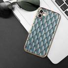For iPhone 11 Electroplated Rhombic Pattern Sheepskin TPU Protective Case (Grey Green) - 5