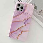 Golden Powder Dream Color Marble Pattern TPU Protective Case For iPhone 12 Pro Max(Purple) - 1