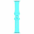 Double Wear Rivets Watch Band For Series 7 41mm / 6 & SE & 5 & 4 40mm / 3 & 2 & 1 38mm(Teal green) - 1