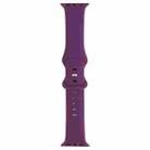 Double Wear Rivets Watch Band For Series 7 41mm / 6 & SE & 5 & 4 40mm / 3 & 2 & 1 38mm(Purple) - 1