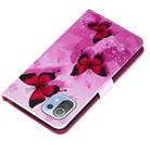 For Xiaomi Mi 11 Lite Cross Texture Painting Pattern Horizontal Flip Leather Case with Holder & Card Slots & Wallet & Lanyard(Pink Butterfly) - 6
