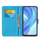 For Xiaomi Mi 11 Lite Cross Texture Painting Pattern Horizontal Flip Leather Case with Holder & Card Slots & Wallet & Lanyard(Big-eye Monster) - 3
