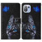 For Xiaomi Mi 11 Lite Cross Texture Painting Pattern Horizontal Flip Leather Case with Holder & Card Slots & Wallet & Lanyard(Blue Butterfly Cat Eyes) - 2