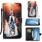 For Xiaomi Mi 10S Colored Drawing Pattern Plain Weave Horizontal Flip Leather Case with Holder & Card Slot & Wallet & Lanyard(Cats And Tigers) - 1