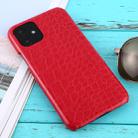 For iPhone 11 Shockproof Crocodile Texture Protective Case(Red) - 1