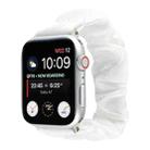 Shell Pattern Hair Ring Cloth Watch Band For Apple Watch Series 8&7 41mm / SE 2&6&SE&5&4 40mm / 3&2&1 38mm(White) - 1