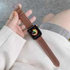 Three Lines Canvas Watch Band For Apple Watch Ultra 49mm / Series 8&7 45mm / SE 2&6&SE&5&4 44mm / 3&2&1 42mm(Brown) - 1