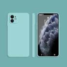For iPhone 11 Solid Color Imitation Liquid Silicone Straight Edge Dropproof Full Coverage Protective Case (Sky Blue) - 1