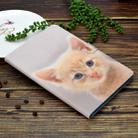 For iPad 10.2 2021 / 2020 / 2019 Colored Drawing Horizontal Flip Leather Case with Holder & Card Slots & Pen Slot & Sleep / Wake-up Function(Cute Cat) - 5