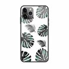 For iPhone 11 Colorful Painted Glass Case(Banana Leaf) - 1