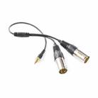 Saramonic SR-UM10-CC1 1/8 inch Male to Dual XLR Male Microphone Audio Output Cable - 1