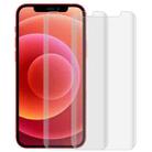 For iPhone 12 mini 2pcs 3D Curved Silk-screen PET Full Coverage Protective Film(Transparent) - 1