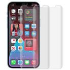 For iPhone 12 Pro Max 2pcs 3D Curved Silk-screen PET Full Coverage Protective Film(Transparent) - 1